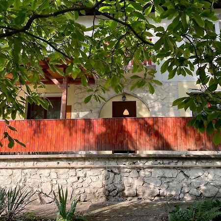 Boni Apartman ميسكولك المظهر الخارجي الصورة