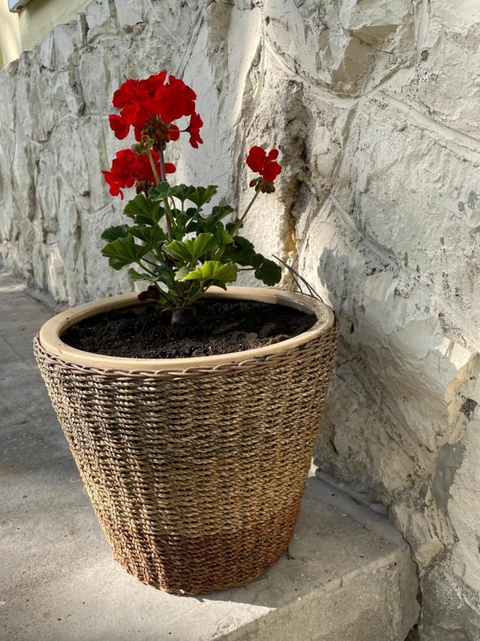 Boni Apartman ميسكولك المظهر الخارجي الصورة
